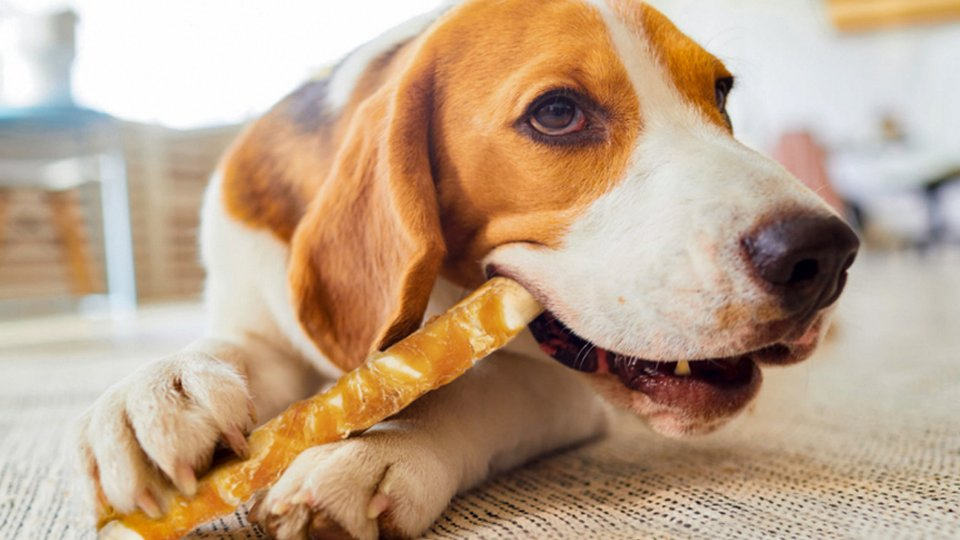 Antos Jumbo Roll 8 Inch Alternate View