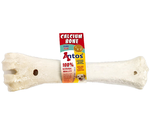 Calcium Bone