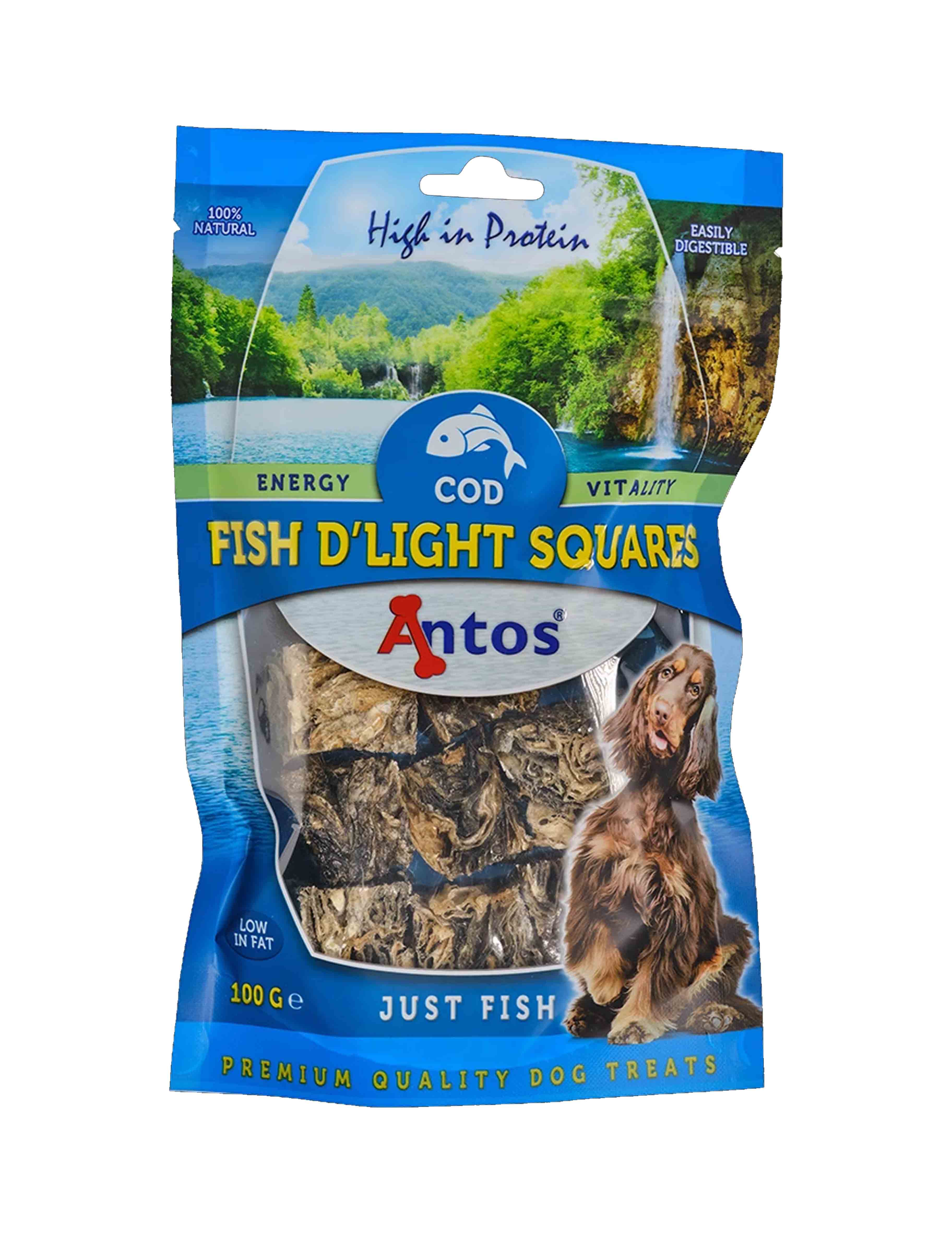 Fish D'Light Squares