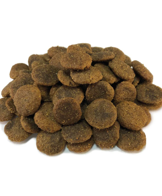 Grain Free Adult Salmon & Rice 12KG