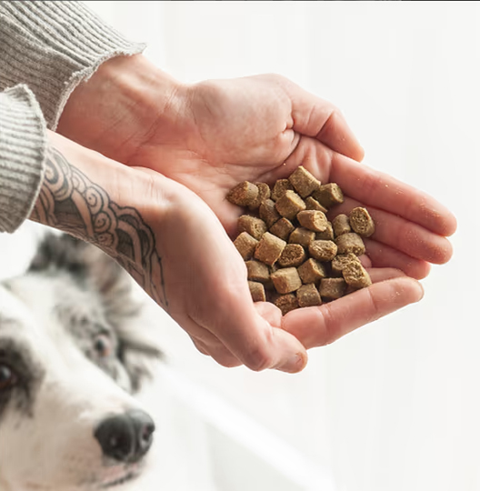 Arquivet Fresh Ocean Fish 2.5KG