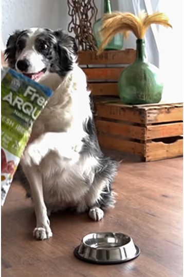 Arquivet Fresh Ocean Fish 2.5KG