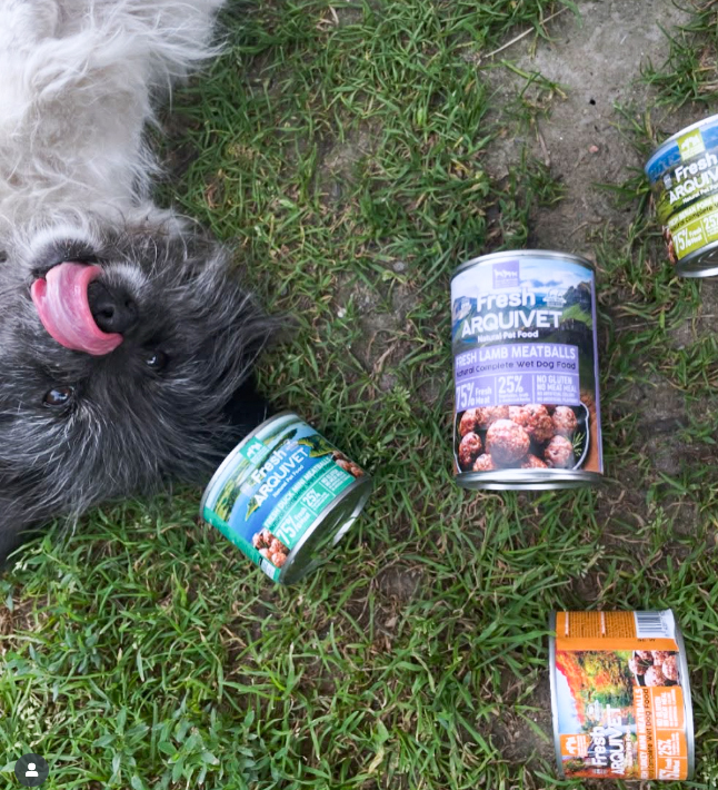 Arquivet Fresh Turkey Meatballs 400g