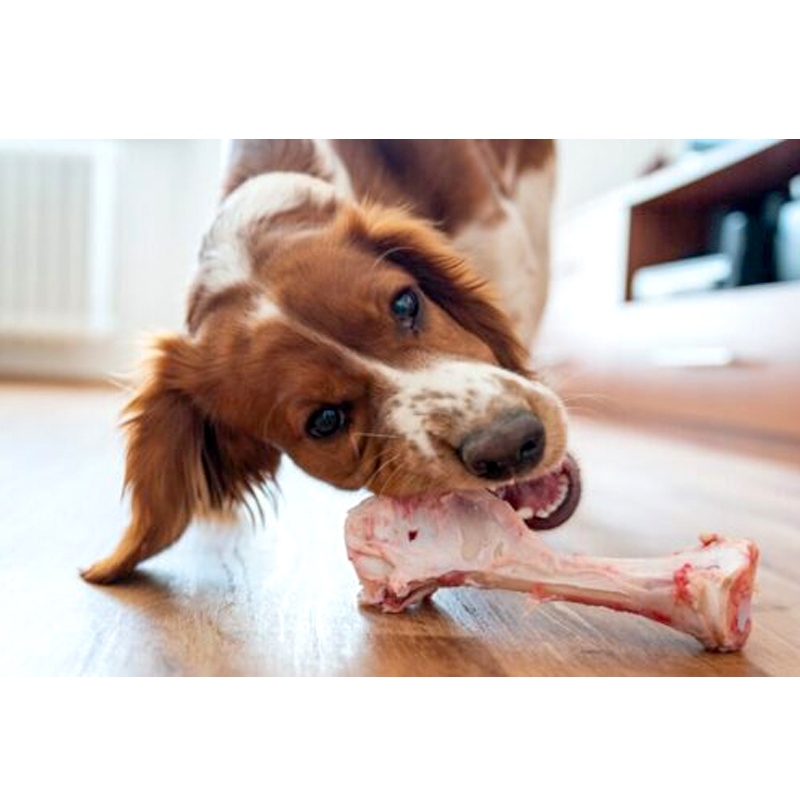 Serrano Hambone Alternate View