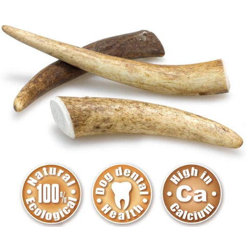  Deer Antler - (76-150g) Close-up