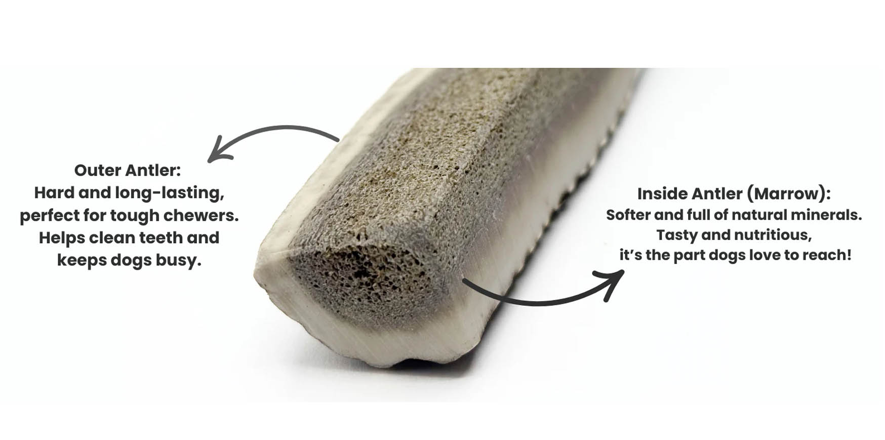 Half Deer Antler - M (51-80 g) Close-up