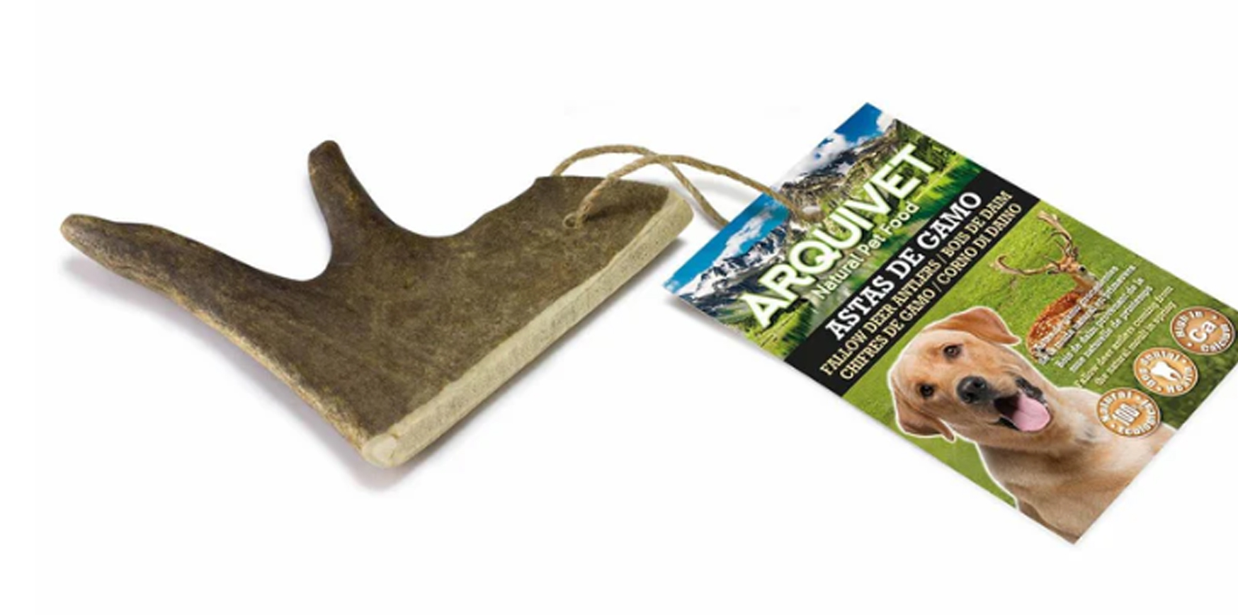 Fallow Deer Antler - M (51-100 g)