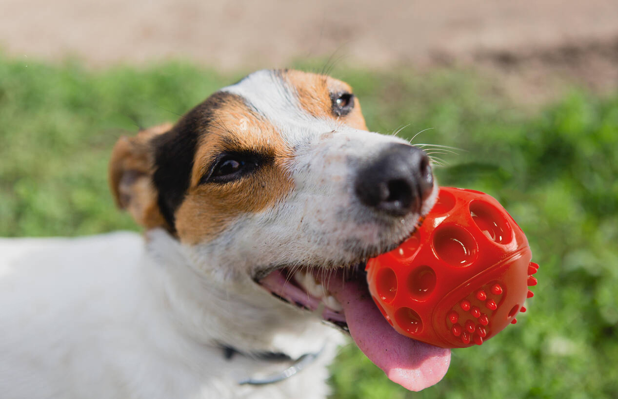 Super Resistant Red Ball 8cm