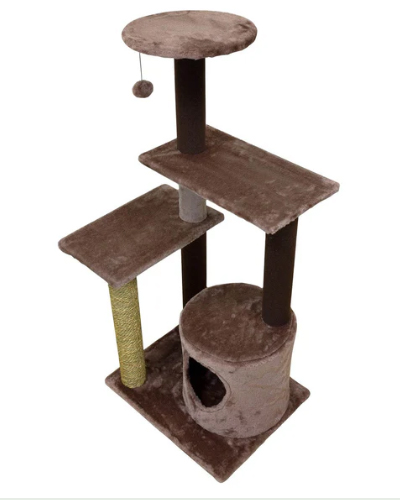 Cat Scratch Pole Ficus