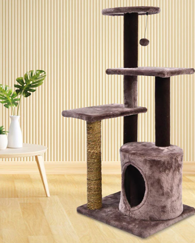 Cat Scratch Pole Ficus